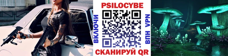 Псилоцибиновые грибы Magic Shrooms  hydra как зайти  Ардатов 